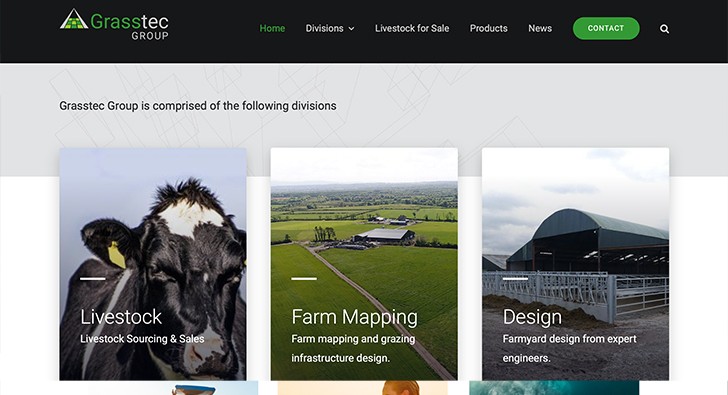 Grasstec website design and development