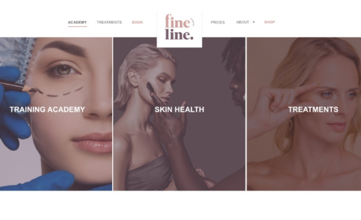 Fineline Clinical Website