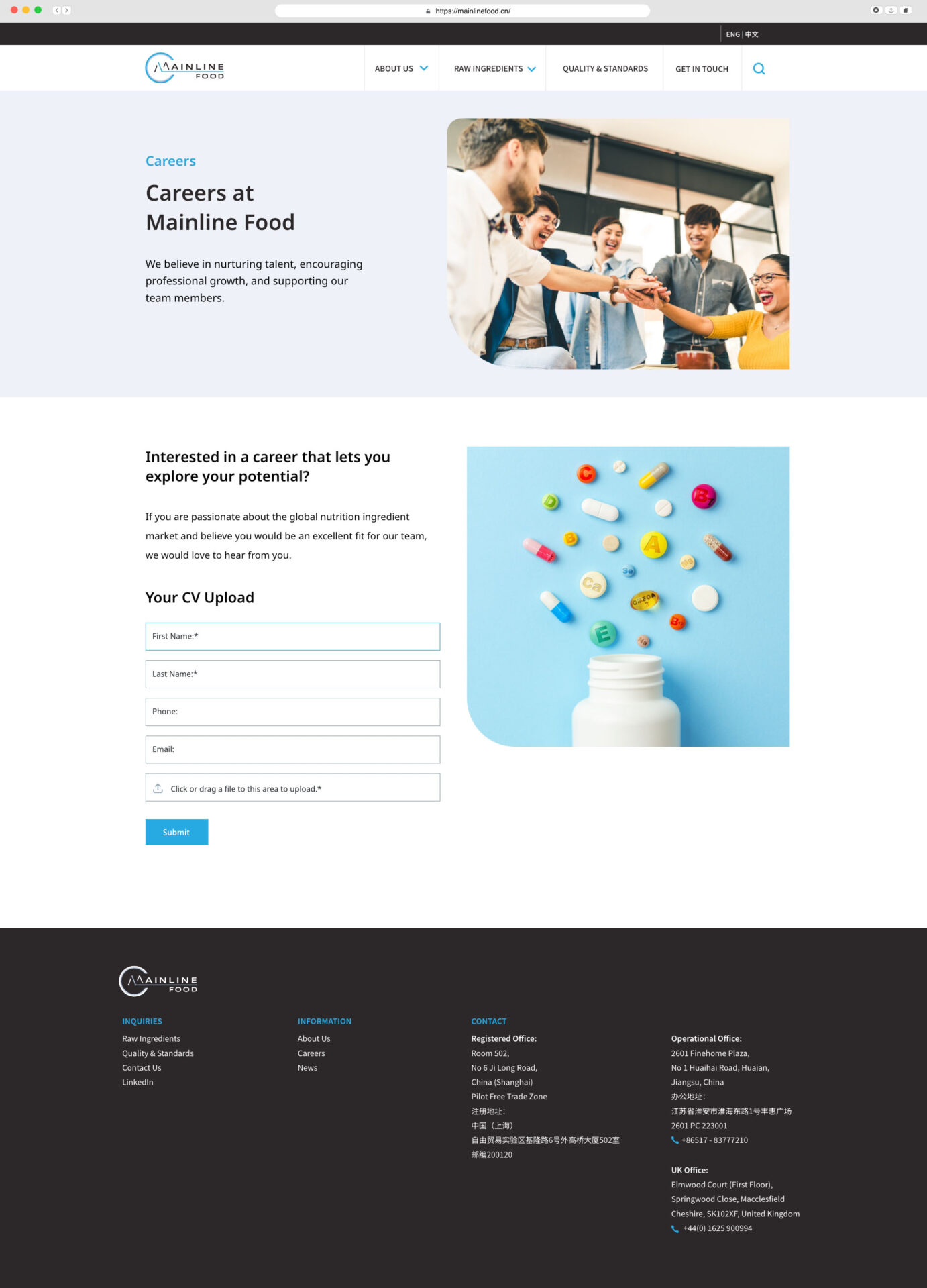 website redesign and SEO project