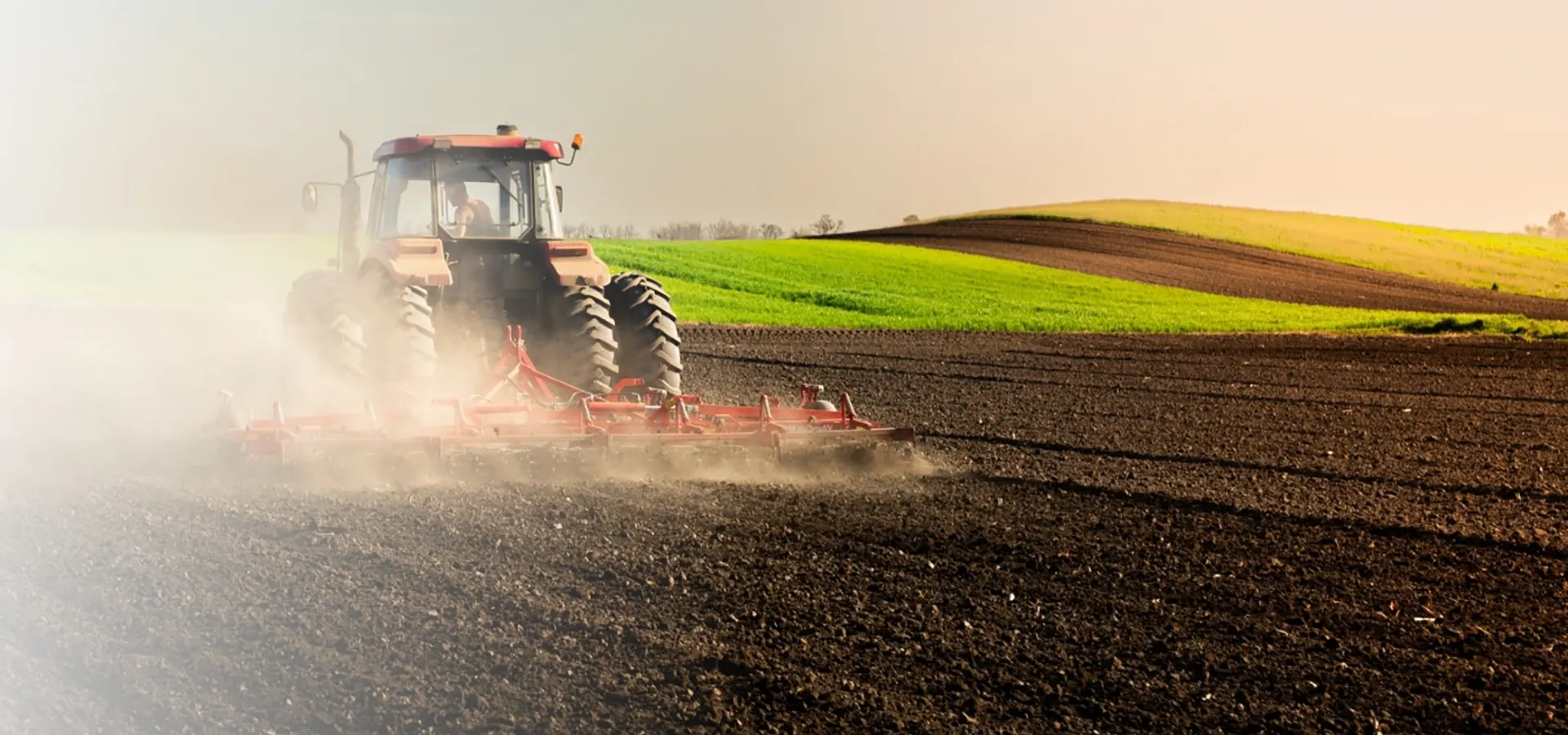 Agricultural Marketing Agency