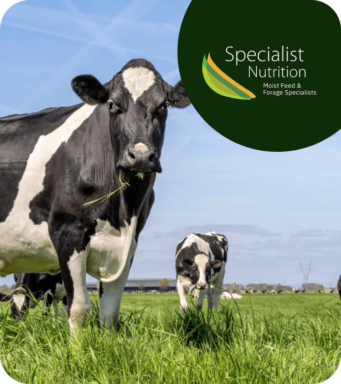 marketing agency for specialist nutrition in ireland